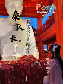 秦队长，我真的只是路过！